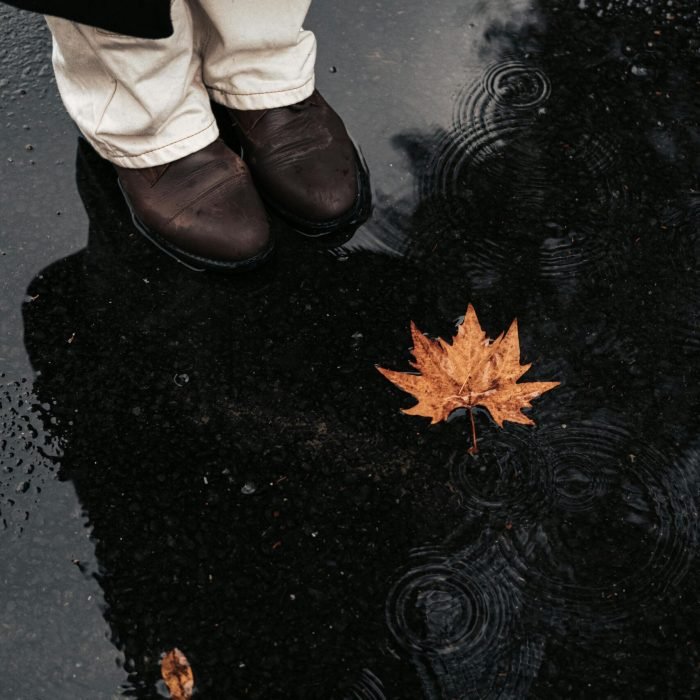 man shoes man shoes in rain and oak leaf